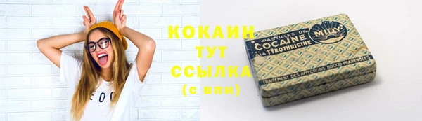 крисы Гусев