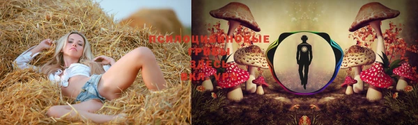 крисы Гусев