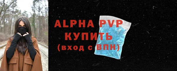 крисы Гусев